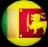 Sri Lanka Women-logo